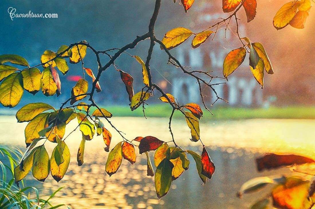 Một ngày trải nghiệm trọn vẹn hương sắc của mùa thu Hà Nội